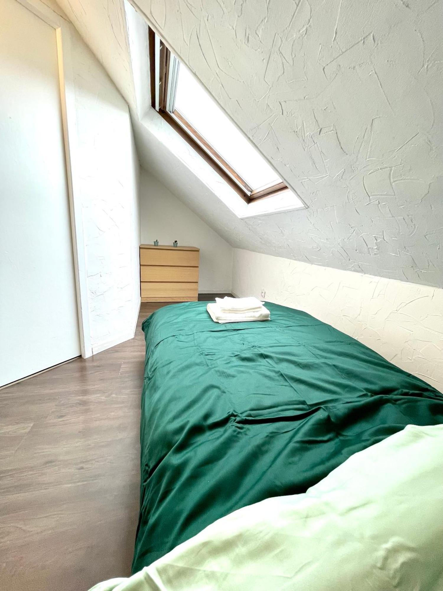 Appartement Duplex 90M2 - 3 Chambres - Mulhouse Eksteriør billede