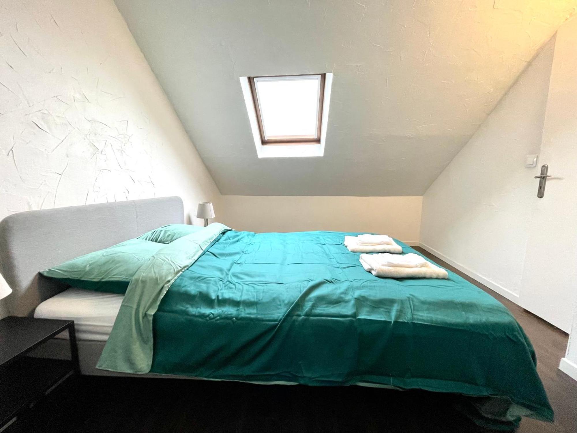 Appartement Duplex 90M2 - 3 Chambres - Mulhouse Eksteriør billede